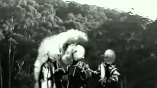 The Pinheads - If I Have To Wait