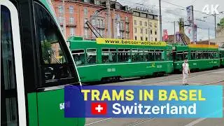 Трамваи в Базеле, Швейцария 🇨🇭