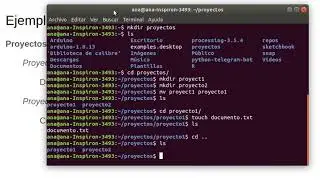 Como accedo a una terminal si no tengo Linux