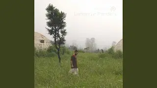 Panders Maneuvers