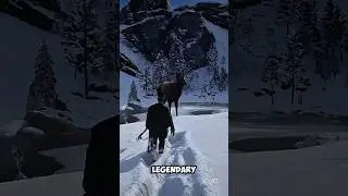 Top 3 Legendary Animals You Must Hunt in Red Dead Redemption 2