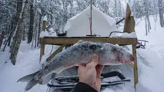 Remote Hot Tent- Smoking Whitefish Over a Fire (ASMR)