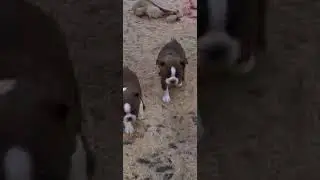 VID 20221010 084331