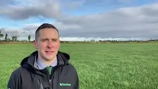 How to Be Effective when Reseeding Grassland