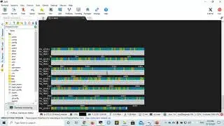 Bioinformatics 14: Protein alignment in MUSCLE and TranslatorX
