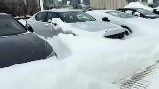 Toronto Island: 50 cm of Snow… Then This Happened 😳❄️
