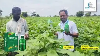 feedback from farmer I Agrogenmaxpro I Exogen #gentech #exogen