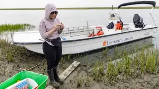 Graduate Fellow Hopes to Quantify Carbon Sink of Salt Marshes