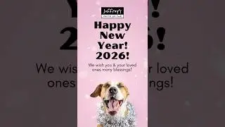 New Year's can be stressful for your pawls. Here are some tips! #jeffreyspets #nye2026 #dogsafety