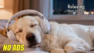 Calming Piano Music for Dogs with Anxiety 🌙 Stress Relief & Deep Sleep