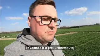 SY Zoomba w doświadczeniach bez ochrony insektycydowej na mszyce – sprawdźmy jak sobie poradziła!