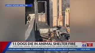 11 dogs die in animal shelter fire