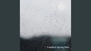 Portugal Forest Rain