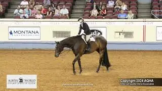 2024 AQHYA world champion youth working hunter under saddle
