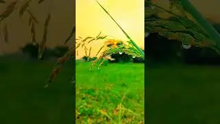 Nature is so beautiful #nature #naturephotography #naturelovers #NatureLover #Naturegram #natureporn