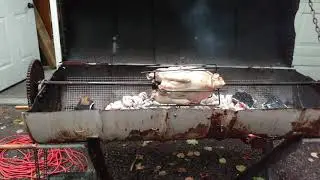 'Slow TV' Turkey Time