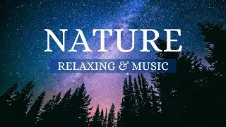 2 Hours of Amazing Nature Sound Scenery & Relaxing nature sounds relaxing music for Stress Relief.