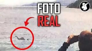 Plesiosaurio VIVO en ARGENTINA  #dinosaurios #criptozoolog&iacute;a #leyendas #misterio