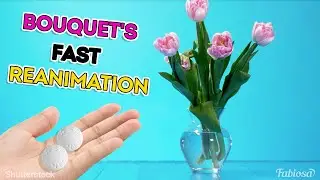 How to make cut flowers last long in a vase | Top hacks