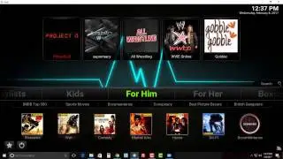 Install Echo Wizard And Vibe Echo Build