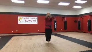 Basics of Kung Fu - Hand Strikes