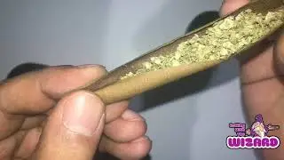 How fast can the Wizard roll a perfect blunt?