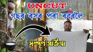 গছৰ ৰসৰ পৰা ৰবৰলৈ: The Full Process of Natural Rubber Making (Uncut) | Samirans_vlogs