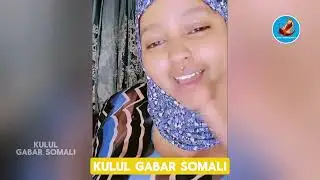 Baashaalkii qarniga iyo kalakiciskii shankaroon