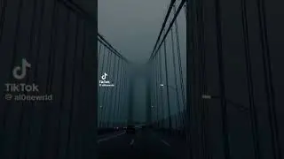 Bridge in the fog /shorts