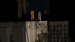 Extremely Windy Day (WIND GUSTS 40MPH) strongest wind gust at 2:25