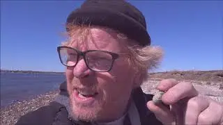Henrik Madsen og søpindsvinene - del 1