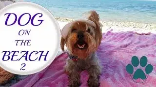 На Плаж С Куче - ЧАСТ 2/Ася Енева/Dog On The Beach - PART 2/Asya Eneva
