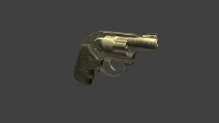 How Ruger LCR work
