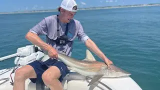 Fishing for Blacktip Sharks Behind Shrimp Boats