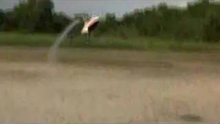 Trex600N @ TBP 14 June 2007