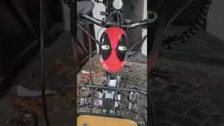 Windschild Deadpool Edition