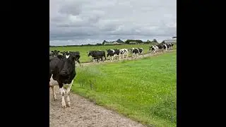 Managing cashflow to make better financial decisions &ndash; a farmer's perspective