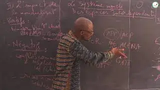 Cours - Terminale - Histoire / Géographie : Le système monde / Des espaces interdépendants / Fin