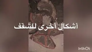 شواهد اثريه لوجود مقابر اثريه
