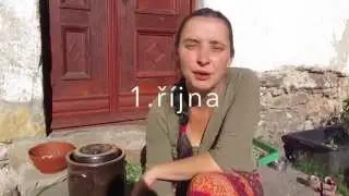 Kva&scaron;en&aacute; zelenina - pickles, nejlep&scaron;&iacute; konzervace I S&iacute;la pro život