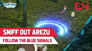 Pokemon Legends: Arceus How to SNIFF OUT AREZU