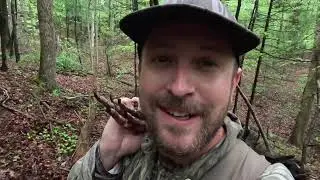 RUN and GUN Turkey Hunting in PENNSYLVANIA!