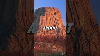 Is Devils Tower a Giant Petrified Tree? 🌲🗿 #shorts_video