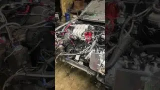 Getting the fuel system mocked up. #cars #automobile #nitrousexpress #carpart #carnerd #carstuff