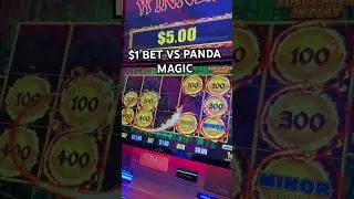 LOW ROLLING $1 BET VS PANDA MAGIC #gamblebeeslots #slot #casino #shorts #bigwin #luckyslot