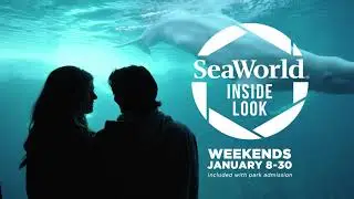 Inside Look 2022 at SeaWorld San Diego