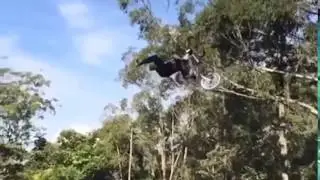 BMX   Logan Martin  x264