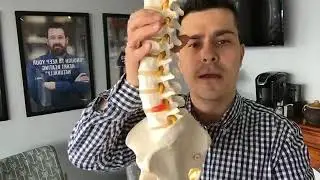 What causes back pain?Chiropractor-Eden Prairie-DrBevanda