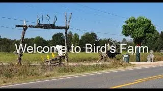 Bird's Farm at Forkland, Alabama
