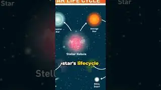How do scientists determine the age of a star?